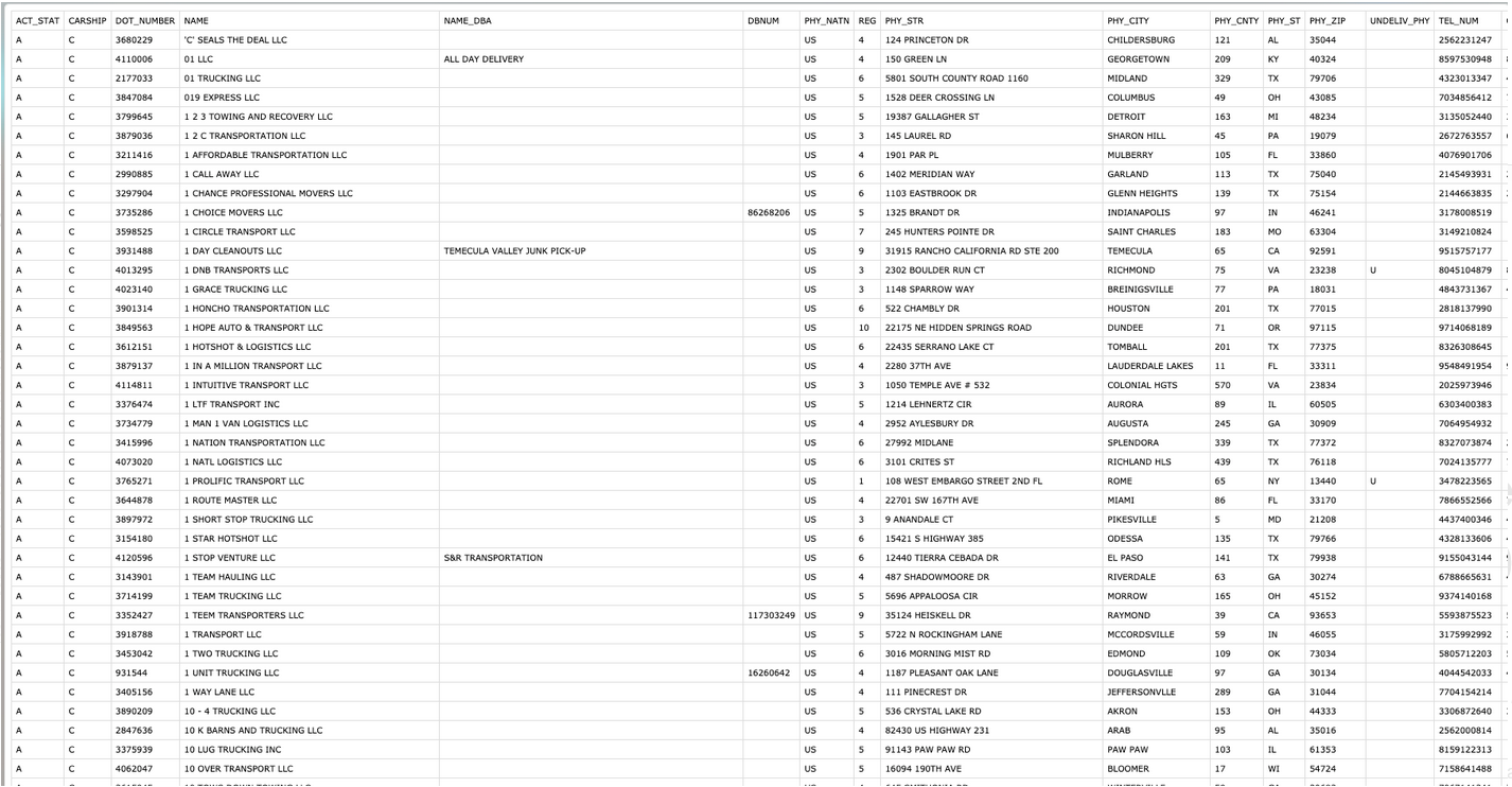 The image is a screenshot of a webpage titled "2000 Unique Active Trucking Carrier Leads - Hand-curated for quality" by "Never Stop Trucking." Below, there is a table with columns for Carrier Name, MC Number, DOT Number, Phone Number, Email Address, State, Equipment Type, and Special Notes, listing detailed information for various trucking carriers.