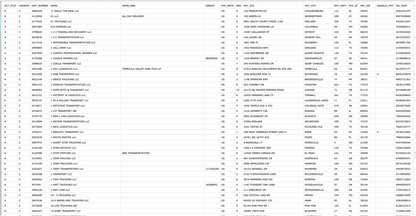 The image is a screenshot of a webpage titled "2000 Unique Active Trucking Carrier Leads - Hand-curated for quality" by "Never Stop Trucking." Below, there is a table with columns for Carrier Name, MC Number, DOT Number, Phone Number, Email Address, State, Equipment Type, and Special Notes, listing detailed information for various trucking carriers.